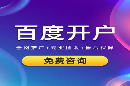 某某企业SEM推广成功案例：打造品牌营销新模式